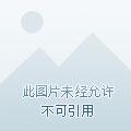 御爱腹黑贤妻阅读